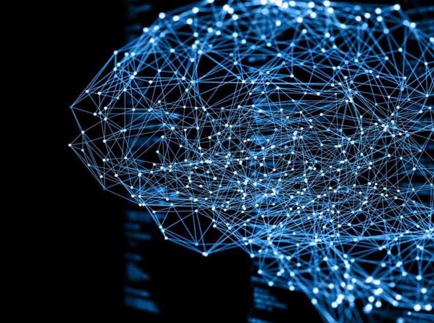 Neurological Physiotherapy Brain Wave